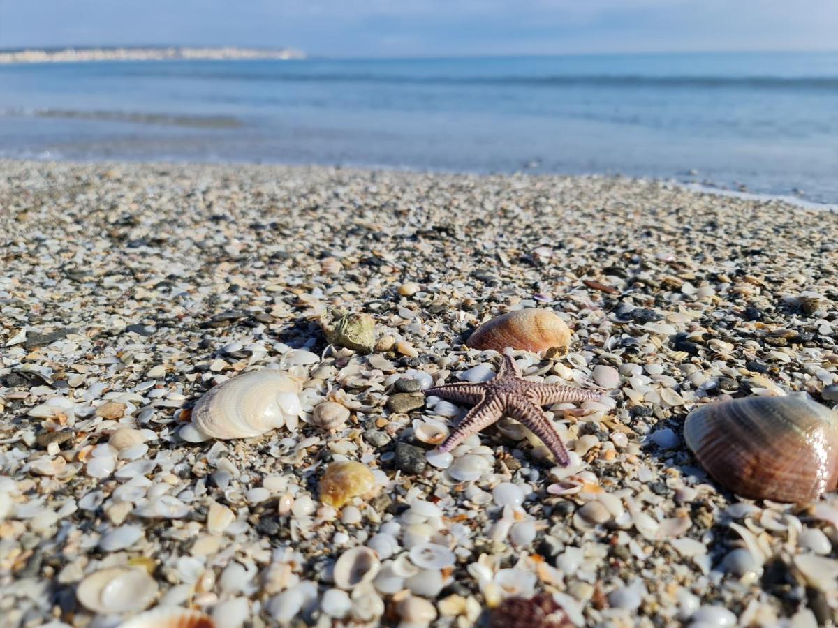Bonito Apartamento En Santa Pola Διαμέρισμα Εξωτερικό φωτογραφία